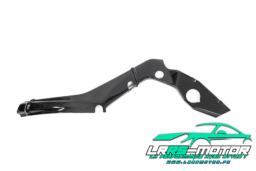 Protection de Cadre Gauche en Carbone (Grande Version) pour BMW S 1000 RR (2019+)