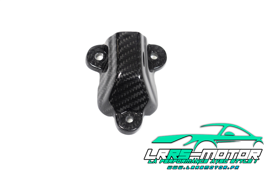 Wasserpumpendeckelschutz für BMW S1000 RR (ab 2019)