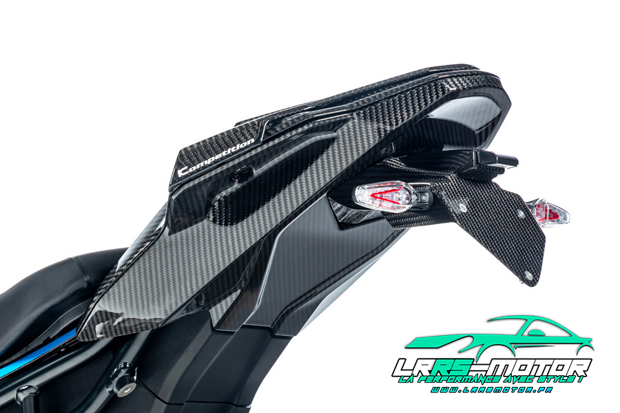 BMW M1000RR Couvercle inférieur du cadre arrière carbone