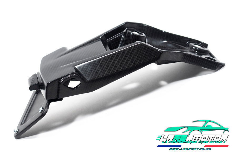 Support de plaque carbone Ducati Multistrada V4 (2022 – 2024)