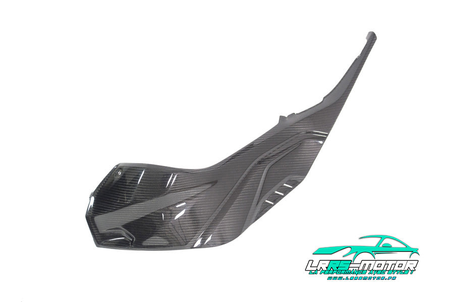 Flanc latéral gauche droite en carbone pour BMW S 1000 RR (à partir de 2019)