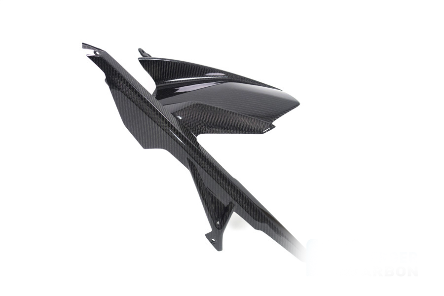 Garde-boue arrière en carbone avec protection de chaîne intégrée pour BMW M 1000 RR