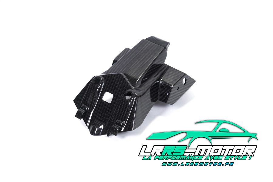 Support de plaque d'immatriculation carbone BMW S 1000 RR