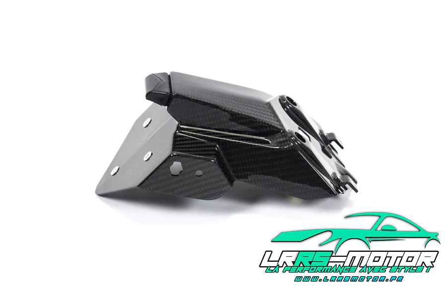 Support de plaque d'immatriculation carbone BMW S 1000 RR