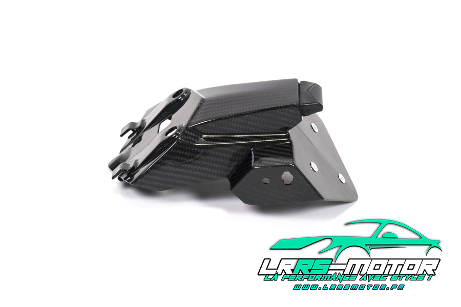 Support de plaque d'immatriculation carbone BMW S 1000 RR