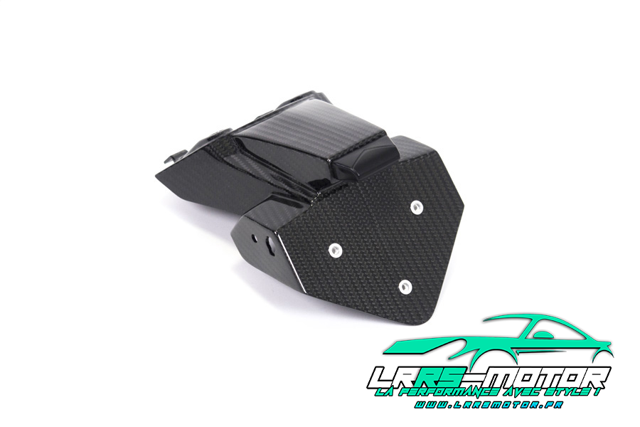 Support de plaque d'immatriculation carbone BMW S 1000 RR
