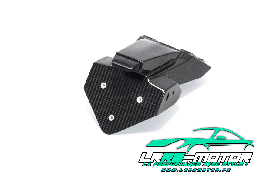 Support de plaque d'immatriculation carbone BMW S 1000 RR