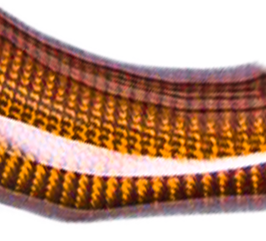 Fibre de carbone Orange