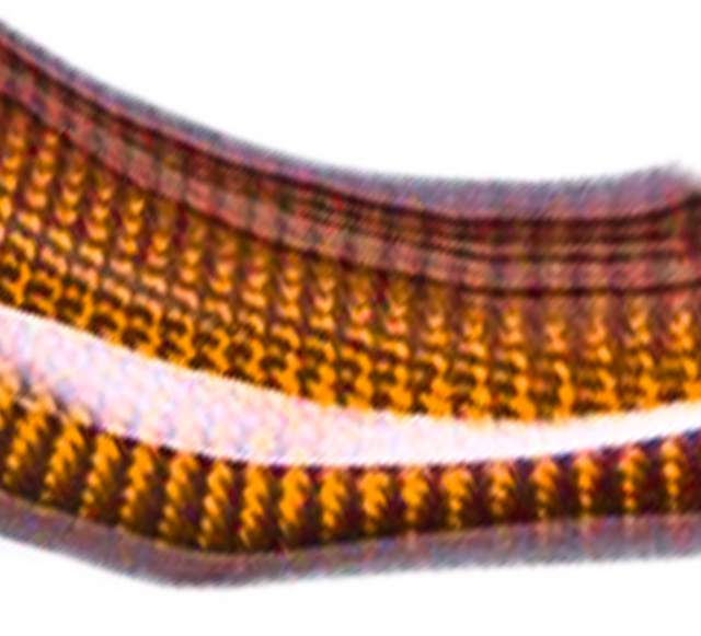 Fibre de carbone Orange