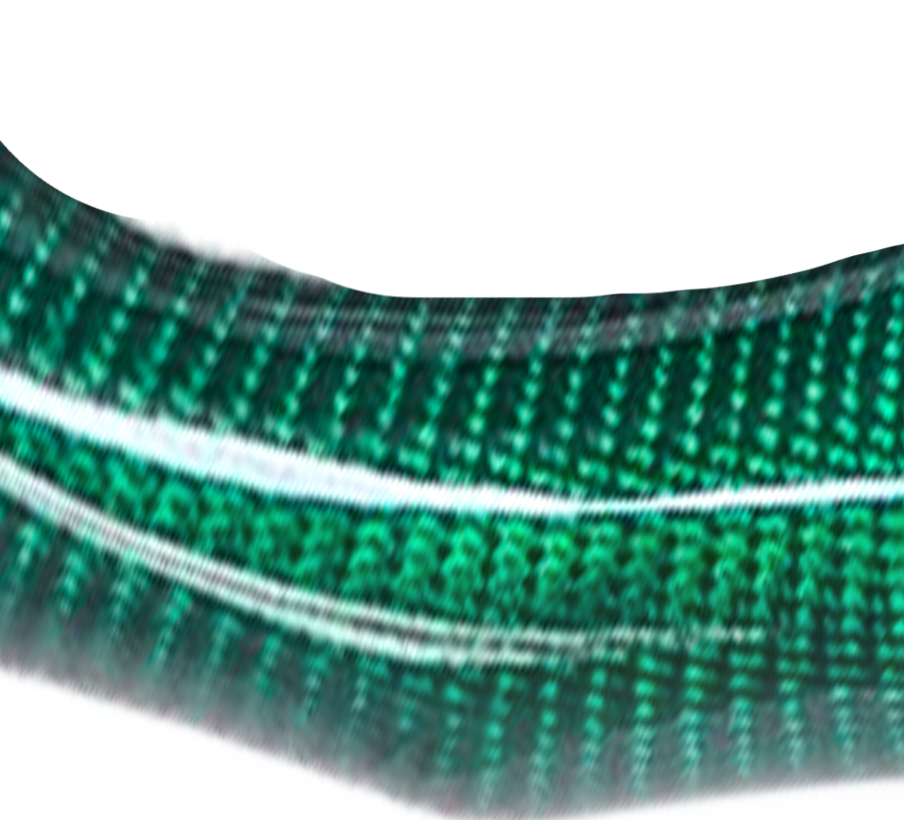 Fibre de carbone vert