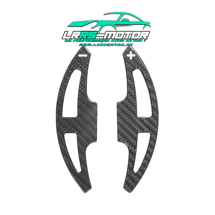 Carbon sports paddle