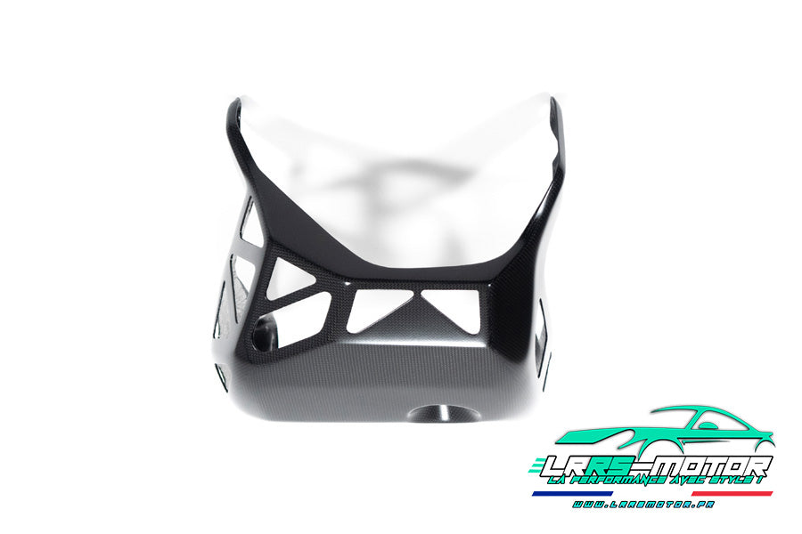 Sabot moteur carbone mat Ducati Multistrada V4