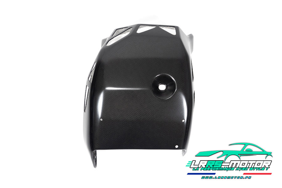 Sabot moteur carbone mat Ducati Multistrada V4