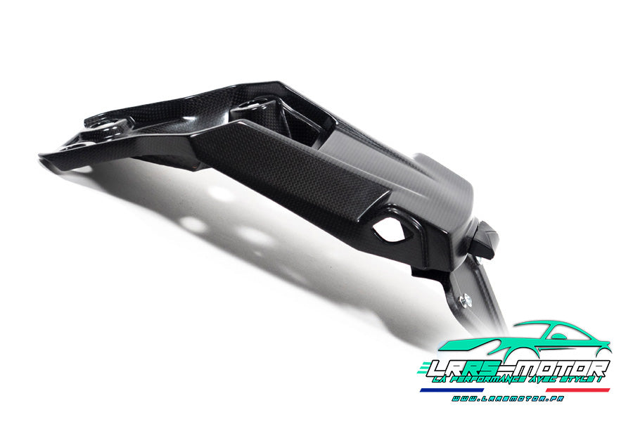 Support de plaque carbone Ducati Multistrada V4 (2022 – 2024)