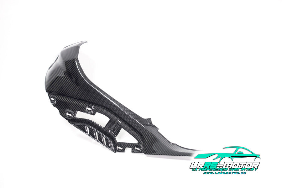 Flanc latéral gauche droite en carbone pour BMW S 1000 RR (à partir de 2019)