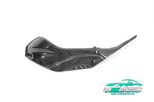 Flanc latéral gauche droite en carbone pour BMW S 1000 RR (à partir de 2019)